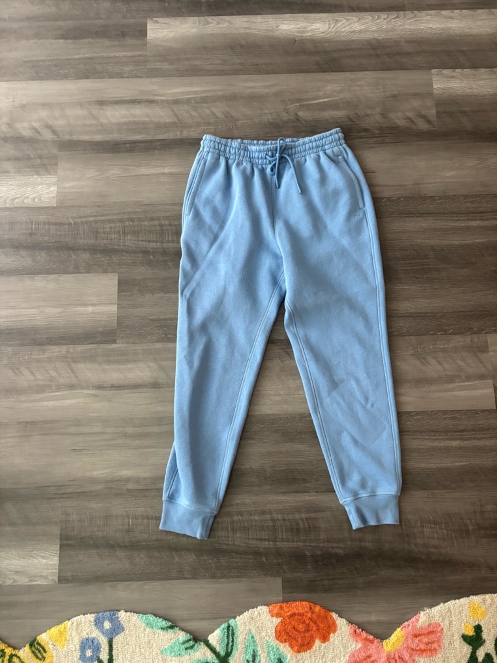 DSG Sky Blue Fleece Jogger Pants